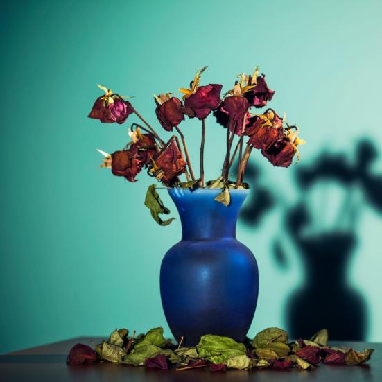 vase med visne blomster