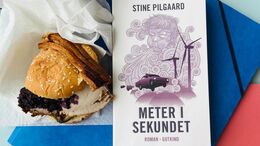 Stine Pilgaards "Meter i sekundet" er en af årets sjoveste romaner