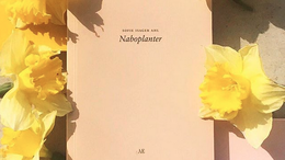 Sofie Isager Ahl: Naboplanter