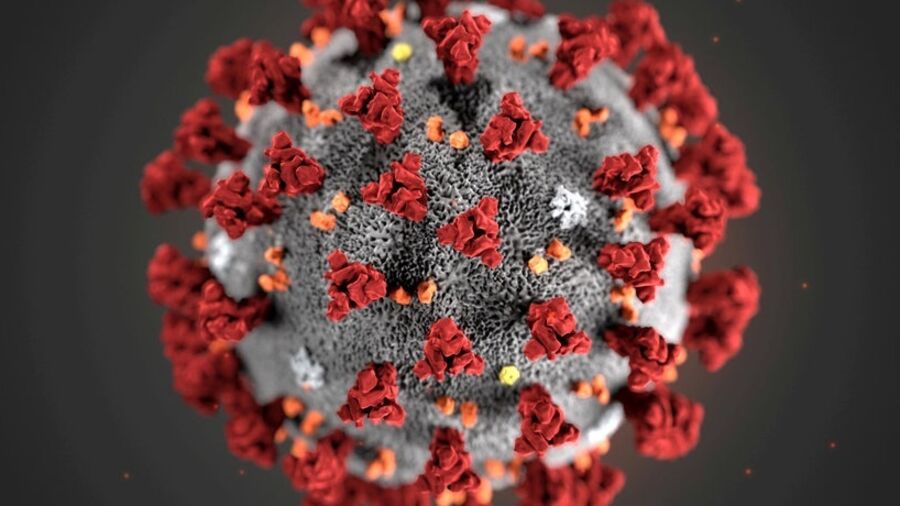 Coronavirus: grå bold med røde pigge.