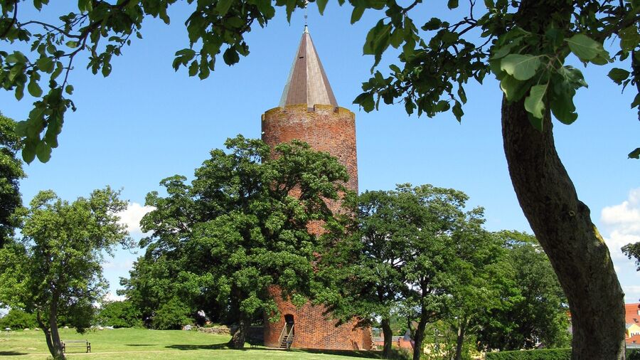 Som barn troede bibliotekets kulturformidler Gitte, at Gåsetårnet i Vordingborg tilhørte hendes familie.